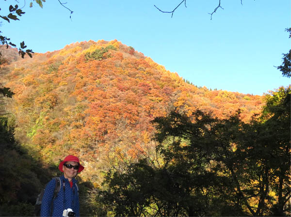 photo：紅葉の稜線：陣場平山