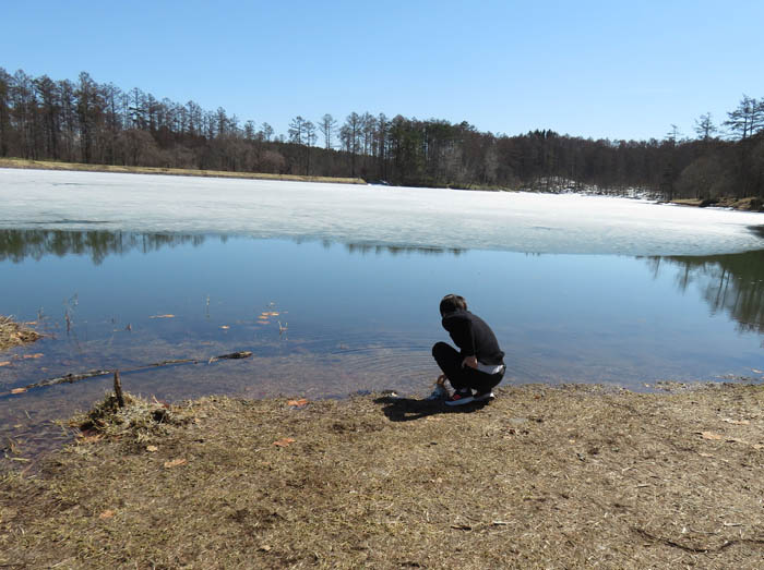 photo：まだ凍っている大座法師池