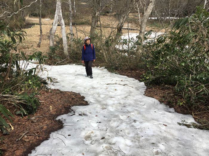 photo：残雪の上を歩く：沼の原湿原