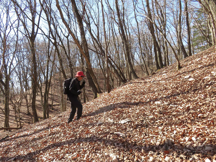 photo：落ち葉の斜面を登る：離山