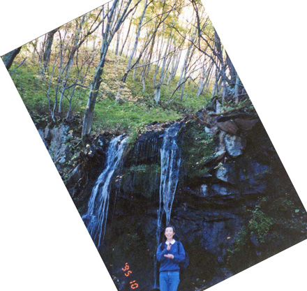写真・20年以上前の玉だれの滝
