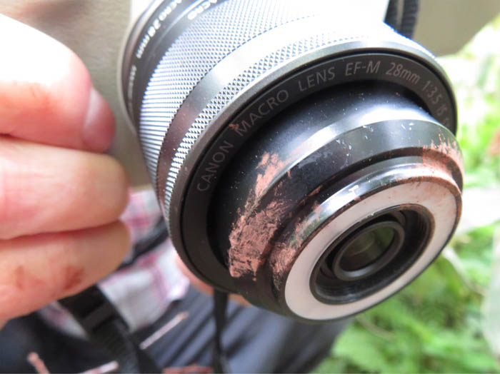 photo：カメラに付いた粘菌の胞子：戸隠森林植物園