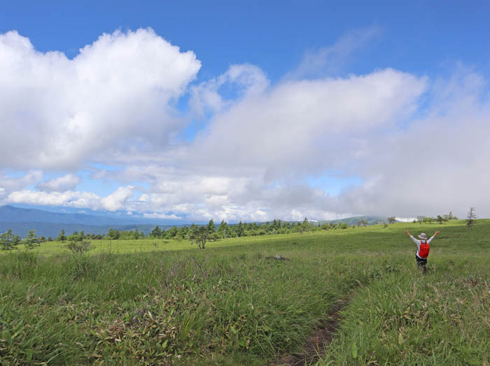 photo：稜線に出ると一気に広くなる：八子ケ峰
