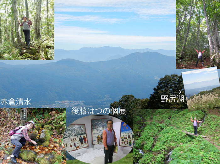 photo：ブナ林を歩いた：妙高高原