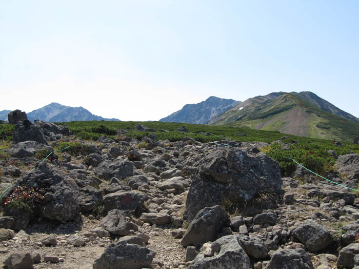 photo：小蓮華岳山(右手前)と白馬岳：白馬乗鞍岳