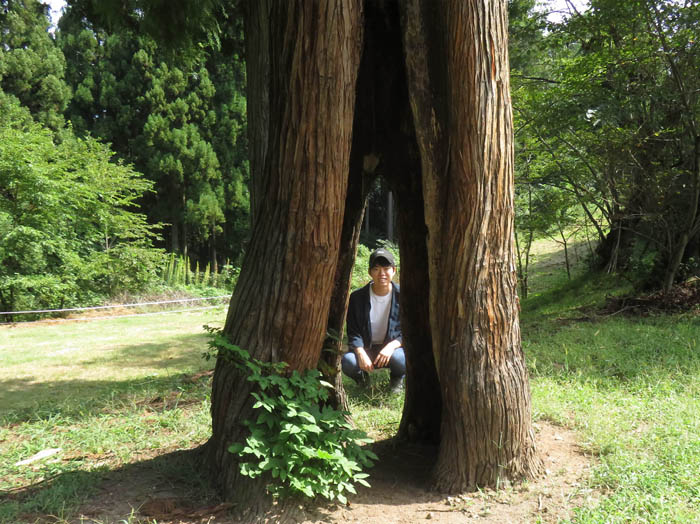 photo：木のトンネル：皆神山