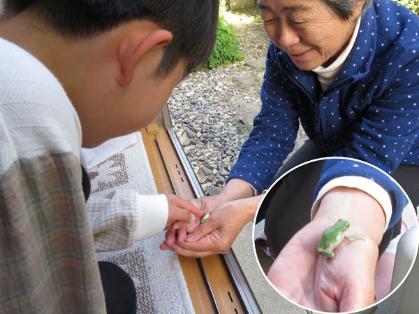 photo：カエルさんに触る：皆神山