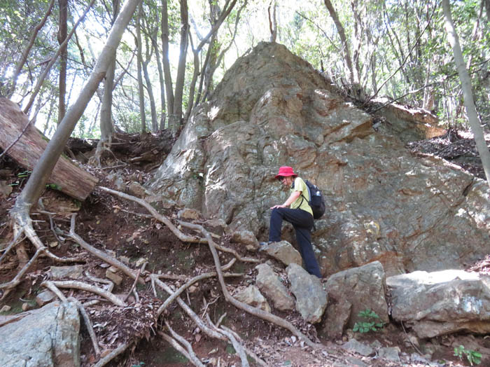photo：男坂木の根と岩の間を登る：日和田山