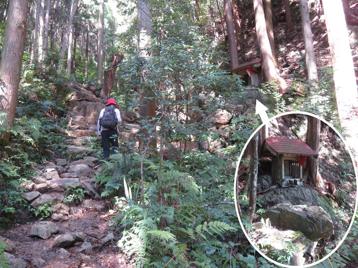 photo：男坂登り始め、深い森の中：日和田山