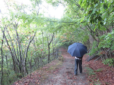 photo：傘をさして歩く：地附山