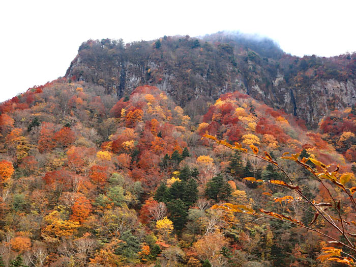 photo：岩壁の紅葉：米子大瀑布