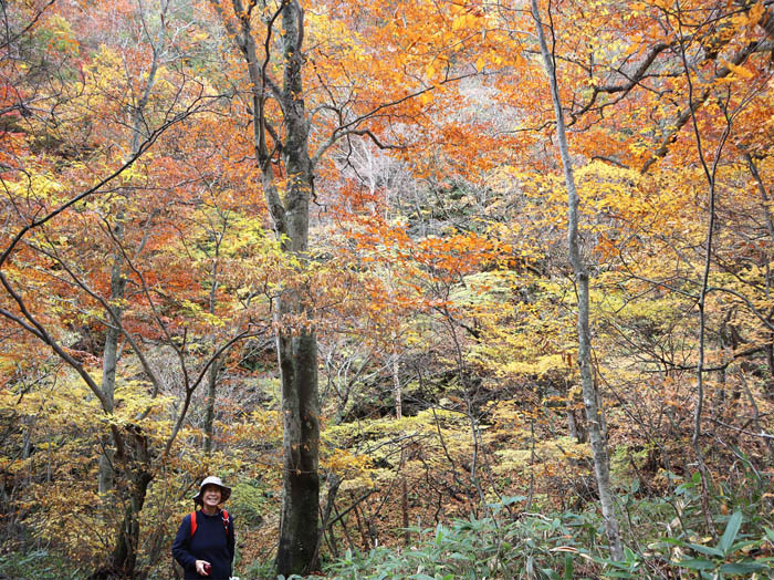 photo：紅葉の中を登る：米子大瀑布