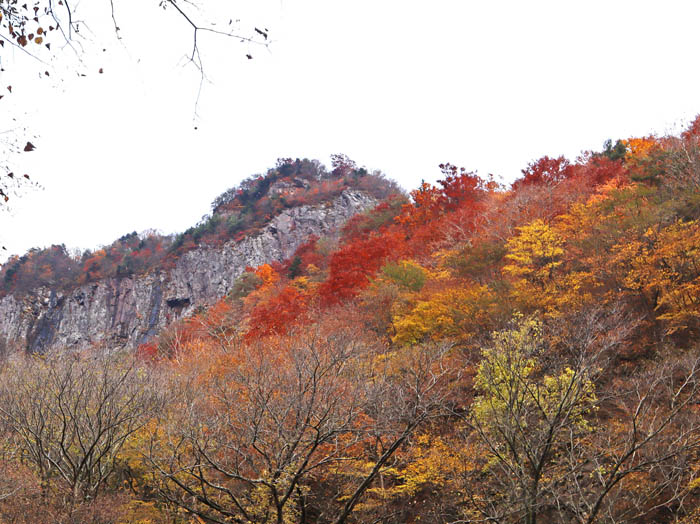 photo：崖の上も真っ赤：米子大瀑布