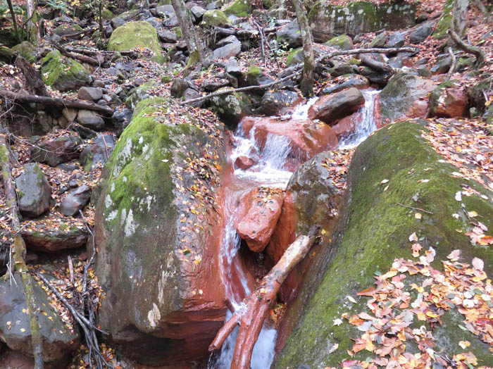 photo：渓流に現れた岩が赤い：米子大瀑布