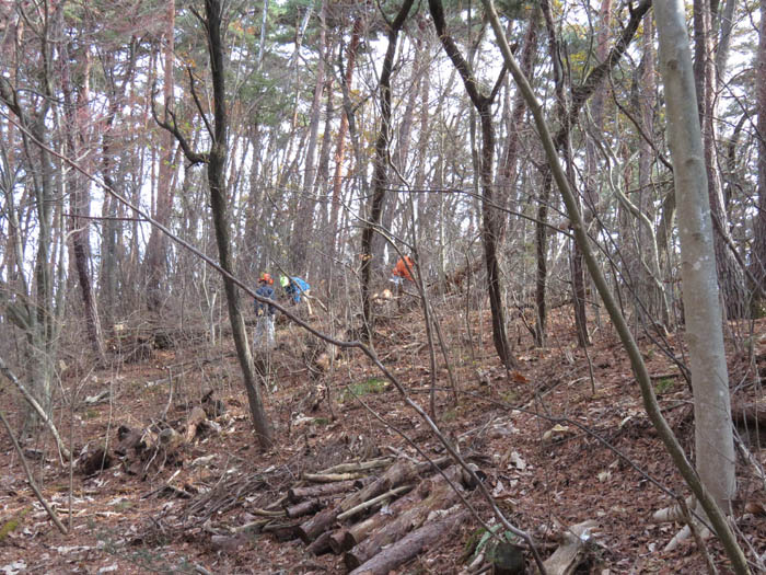 photo：斜面で枯れ木の伐採をする：地附山
