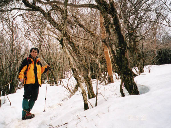 photo：積雪：越前岳