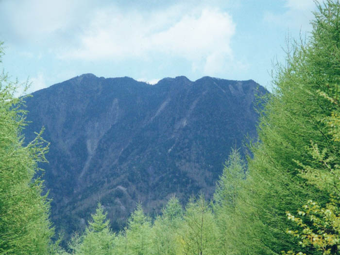 photo：カラマツの新緑と太郎山：男体山