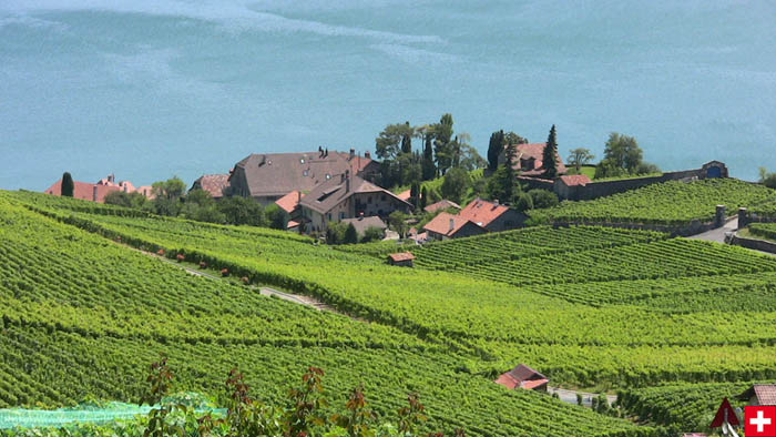 写真・レマン湖畔ラヴォー地区の集落（スイス）