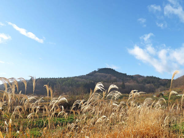photo：ススキと髻山