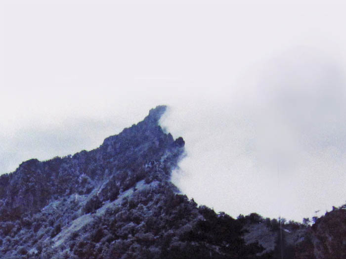 photo：土小屋への道から山頂方面を見る：石鎚山