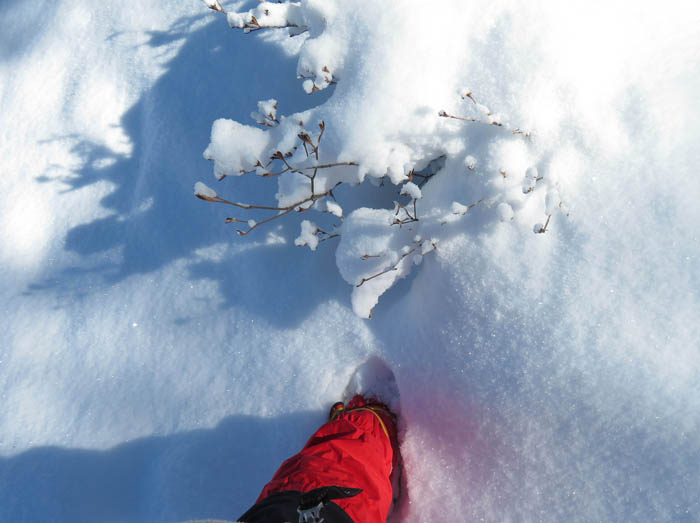 photo：足が雪に潜る：地附山