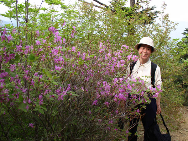 photo：ミツバツツジが咲き出した：伊豆ヶ岳