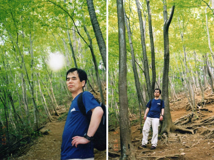 photo：気持ち良い森が続く：伊豆ヶ岳