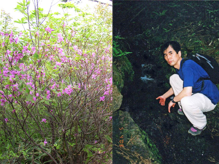 photo：花と清水：伊豆ヶ岳