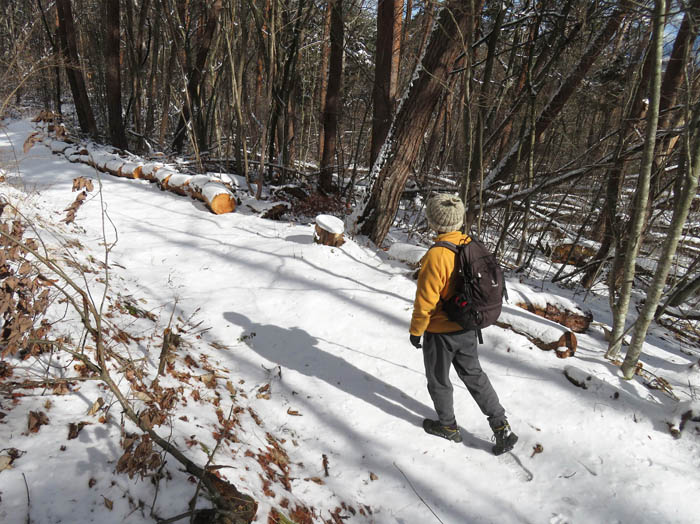 photo：足跡のない雪道を歩く：地附山