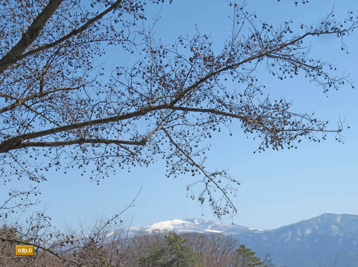 木の実．根子岳と四阿山：長野市茶臼山