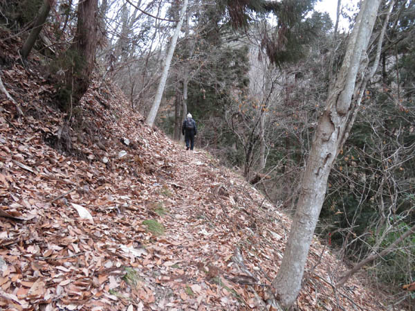 photo：急な斜面を横切って行く：歌ヶ丘