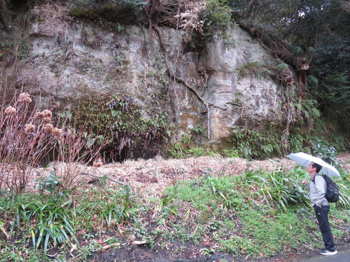 photo：海蔵寺の崖