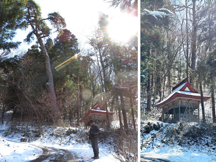 photo：自在山神社と天狗の松：戸倉群生地