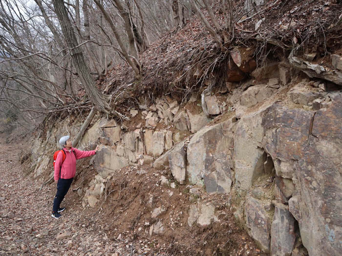 photo：節理があり割れ目が多い岩：八王子山
