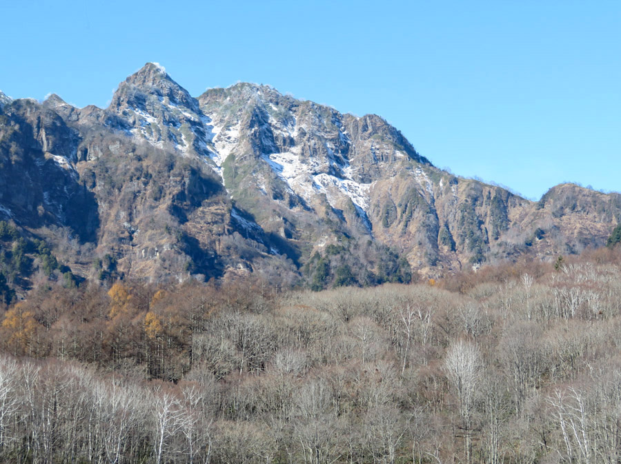 photo・西岳山頂には雪をかぶった立木が