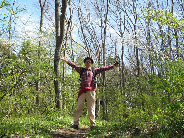 写真：気持ち良い春の森：髻山