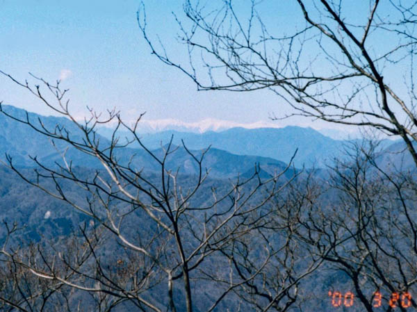 photo：真っ白な南アルプス：桧洞丸