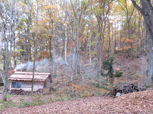 photo　懐かしさを感じるアファンの森の入口の小屋