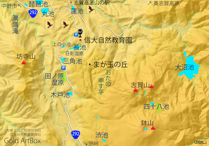 map　田ノ原湿原,信大自然教育園