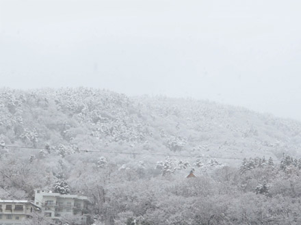 photo　雪で白くなった地附山
