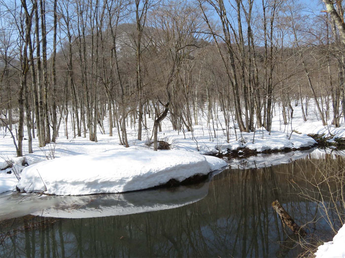 photo　冬の池,アファンの森