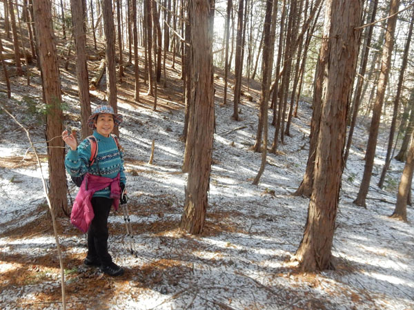 photo 中尾山へ雪が残る森を行く