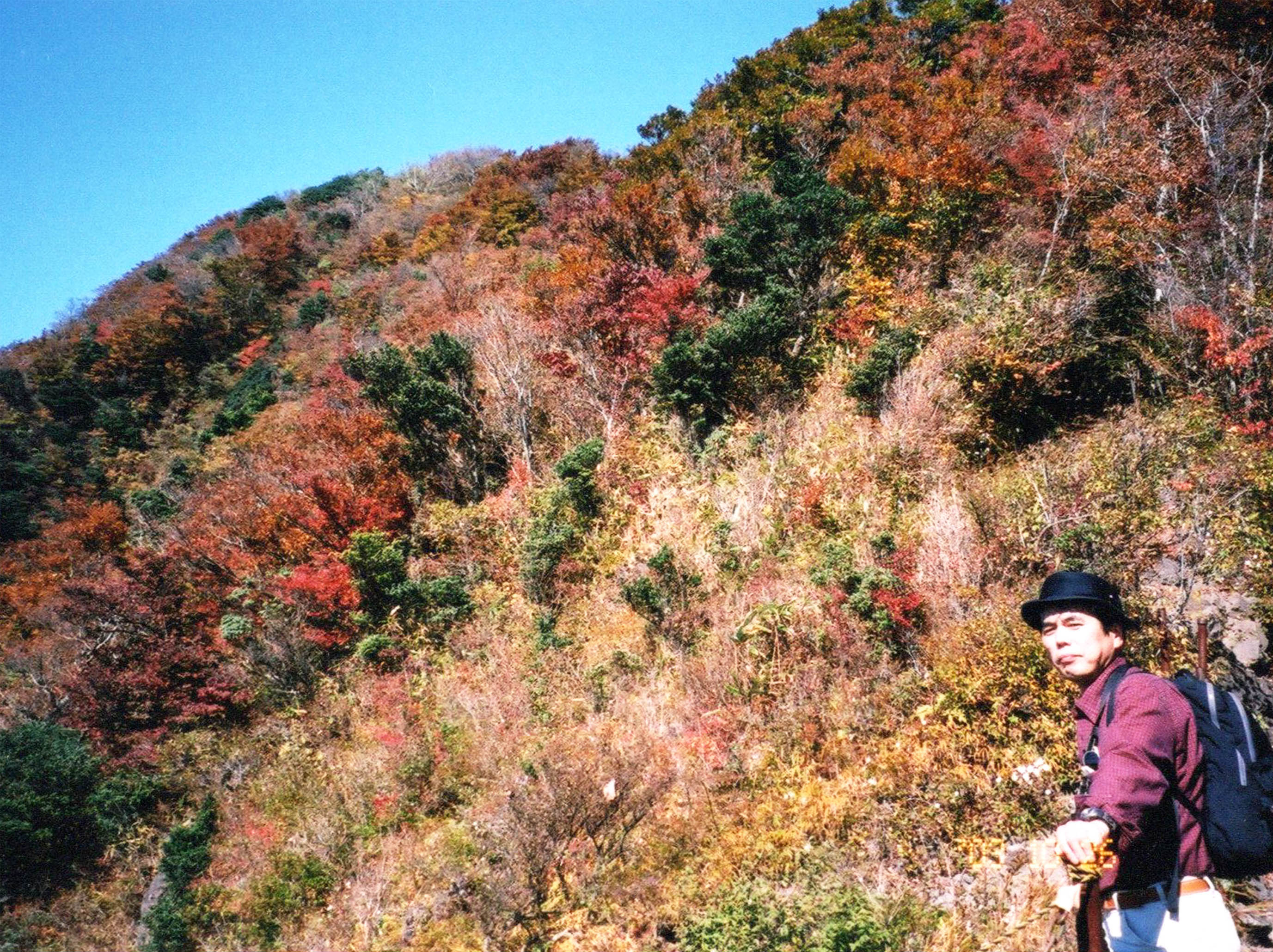 photo：紅葉が鮮やか：長尾山