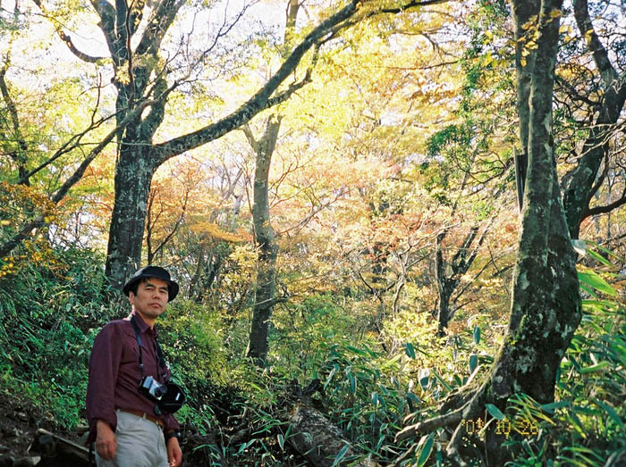 photo：美しい森の中を登る：金時山