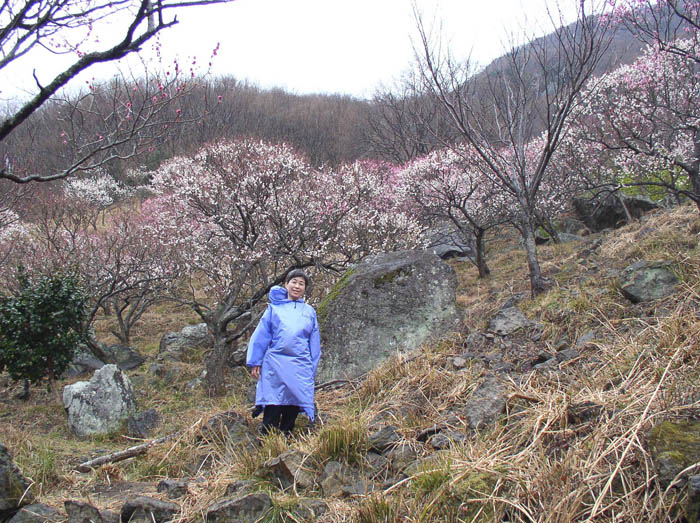 photo：梅の香りの中で：幕山