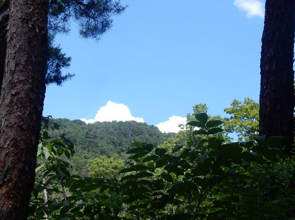 photo：入道雲・物見岩付近から大峰山方面