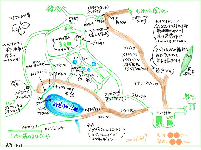 photo・観察会のメモ・戸隠森林植物園