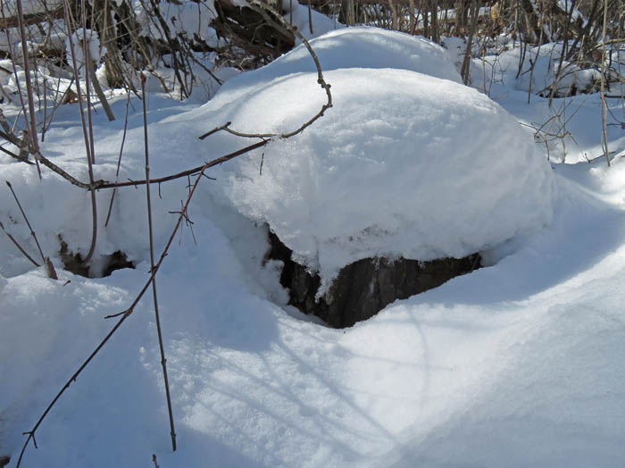 photo：雪の造形：地附山
