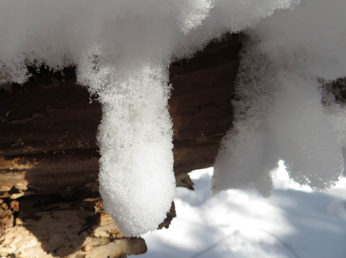 photo：雪がつららみたい：雪の地附山