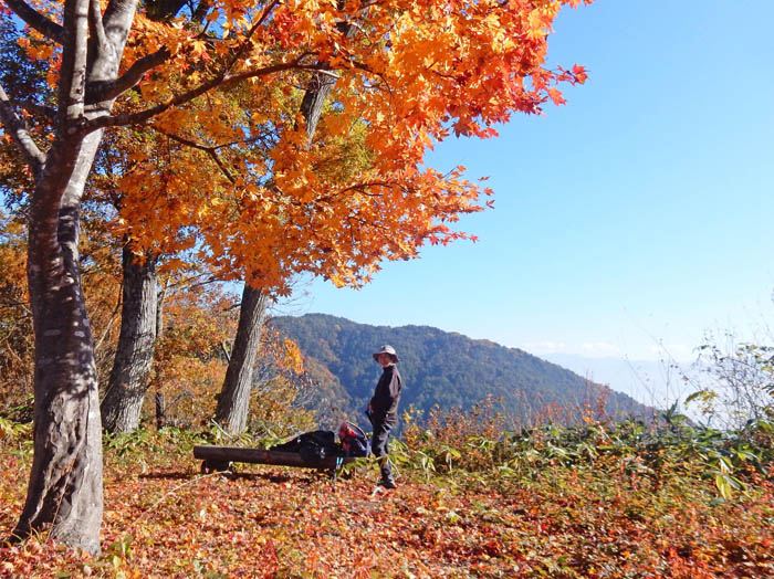 photo：カエデの紅葉、バックは大峰山・葛山登山道